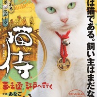 【特報映像】白猫と“萌えるサムライ”が出会うまで！「猫侍 玉之丞、江戸へ行く」2月放送へ 画像