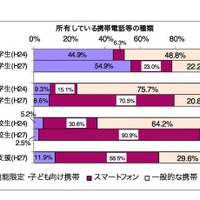 中高生の携帯利用は「SNS」最多、高校でトラブル大幅上昇 画像