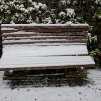首都圏で積雪、学生の足を直撃…臨時休講で「詫び単位」や交通費要求 画像