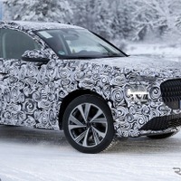 まさかの次期型『Q7』？ 明らかにアウディ、だけど謎の多いプロトタイプ　その正体は 画像