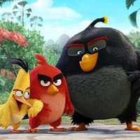 あの大人気ゲームが3D映画に！『アングリーバード』予告編＆場面写真解禁 画像