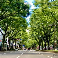 走りも快適性も守る！ 車高調、オイル、電装系まで“お手入れ完全マニュアル”～カスタムHOW TO～ 画像