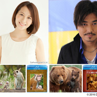 青木裕子＆小澤征悦が明かす『ディズニーネイチャー』の魅力 画像