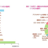女子中高生の約8割、服やアクセなどネットで買い物 画像
