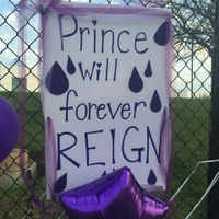 【ハリウッドより愛を込めて】 PURPLE REIGN（紫の時代）…プリンスを偲んで 画像