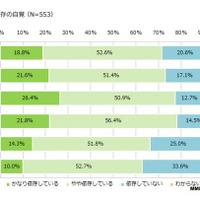 「スマホ依存」7割以上が自覚…デジタルデトックス実践わずか1.8％ 画像
