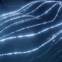 アウディ A5 クーペ 新型、空力性能に優れるフォルム 画像