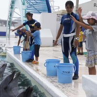 【夏休み2016】イルカやシャチと触れ合い、鴨シーのサマースクール7/25-8/3 画像