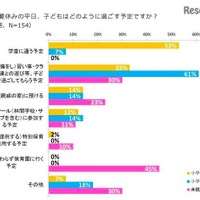 【夏休み】保護者はちょっと大変？ 小学生の平日の過ごし方が判明 画像