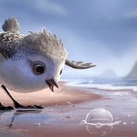 ピクサー史上超絶“もふもふキュート”な短編が登場！ 『ファインディング・ドリー』と同時上映 画像