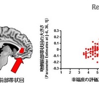 「幸せ」はトレーニングで増強できる!? 生理学研究所が発表 画像