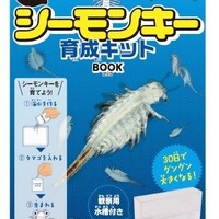 【夏休み2016】水道水だけで楽々、なつかしの「シーモンキー」育成キット 画像