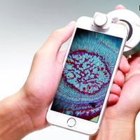 自分のスマホが顕微鏡に、プレパラートも作れる「μHandy」 画像