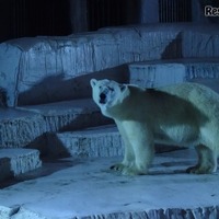 【夏休み2016】ナイトズー＆夜の水族園、関東・関西おすすめ8施設 画像