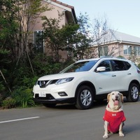 日産 エクストレイル ハイブリッド 、ドッグフレンドリー度検証…快適でタフな魅力 画像