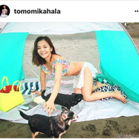華原朋美、四つん這いポーズで愛犬と戯れる 画像