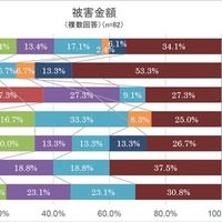 ネット詐欺の高額被害は10代が最多…13％が10万円以上 画像