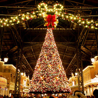 【ディズニー】パークが華やかなクリスマス一色に！「ディズニー・クリスマス」開幕 画像