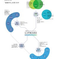 小学生から受験可能、資質・能力を評価するアセスメントテスト「LIPHARE」2017年3月リリース 画像