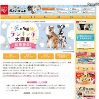 2016年「犬の名前ランキング」　上位はスイーツ系が人気 画像