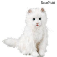 まるで本物の猫、表情も再現「夢ねこプレミアム」12/3発売 画像
