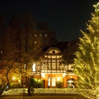 クリスマスシーズン到来、2016年大学イルミネーション情報 画像