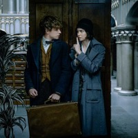 【特別映像】エディ・レッドメイン、J.K.ローリングに物申す!?　あの“求愛ダンス”を語る 画像