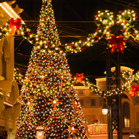 【ディズニー】クリスマスのパークで想い出を残そう！厳選フォトスポット＜夜＞ 画像
