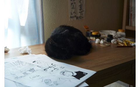 『猫なんかよんでもこない。』（C）2015「猫なんかよんでもこない。」製作委員会